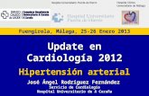 Fuengirola, Málaga, 25-26 Enero 2013 José Ángel Rodríguez Fernández Servicio de Cardiología Hospital Universitario de A Coruña Update en Cardiología 2012.