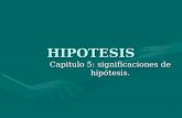 HIPOTESIS Capitulo 5: significaciones de hipótesis.
