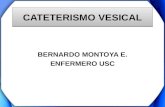 CATETERISMO VESICAL BERNARDO MONTOYA E. ENFERMERO USC.