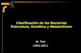 Clasificación de las Bacterias Estructura, Genética y Metabolismo M. Paz UMG-2011.