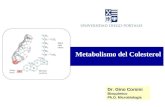 Metabolismo del Colesterol Dr. Gino Corsini Bioquímico Ph.D. Microbiología.
