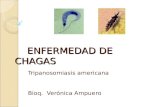 ENFERMEDAD DE CHAGAS ENFERMEDAD DE CHAGAS Tripanosomiasis americana Bioq. Verónica Ampuero.