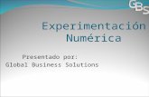 Experimentación Numérica Presentado por: Global Business Solutions.