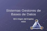 Sistemas Gestores de Bases de Datos IES Virgen del Espino ASI2.