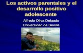 Los activos parentales y el desarrollo positivo adolescente Alfredo Oliva Delgado Universidad de Sevilla.