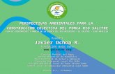Ponente Javier Ochoa R. Fundación Gaia Suna  Consejo Mundial del Agua Comité Distrital de Humedales Mesa Distrital de Salud y Ambiente.
