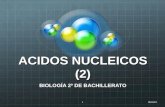 ACIDOS NUCLEICOS (2) BIOLOGÍA 2º DE BACHILLERATO 10/02/20141.