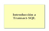 Introducción a Transact-SQL. Introducción E lenguaje de programación Transact-SQL Tipos de instrucciones de Transact-SQL Elementos de la sintaxis de Transact-SQL.