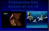 Estimulación musical en el embarazo.. Estimulación prenatal La comunicación entre los seres humanos comienza desde que las mujeres llevan a sus hijos.
