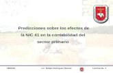 10/02/2014Lic. Rafael Rodríguez RamosLámina No. 1 AGRICULTURA, (NIC 41) Y SU RELACIÓN CON OTROS NIIF Predicciones sobre los efectos de la NIC 41 en la.