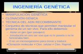 INGENIERÍA GENÉTICA MANIPULACIÓN GENÉTICA CLONACIÓN GÉNICA TÉCNICA DEL ADN RECOMBINANTE Conjuntos de técnicas que permiten manipular el genoma de un ser.