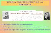 TEORÍA CROMOSOMICA DE LA HERENCIA 1.- Los genes se localizan en los cromosomas. 2.- Genes que están en el mismo cromosoma son genes: LIGADOS 3.- Cuanto.