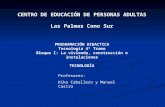 CENTRO DE EDUCACIÓN DE PERSONAS ADULTAS Las Palmas Cono Sur PROGRAMACIÓN DIDACTICA Tecnología 4º Tramo Bloque I: La vivienda, construcción e instalaciones.