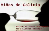 ViñOs De Galicia