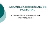 ASAMBLEA DIOCESANA DE PASTORAL Conversión Pastoral en Parroquias.