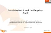 Servicio Nacional de Empleo SNE Subsecretaría de Empleo y Productividad Laboral Coordinación General del Servicio Nacional de Empleo Diciembre de 2008.