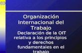 Organización Internacional del Trabajo Declaración de la OIT relativa a los principios y derechos fundamentales en el trabajo.