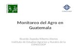 Monitoreo del Agro en Guatemala Ricardo Zepeda/Alberto Alonso Instituto de Estudios Agrarios y Rurales de la CONGCOOP.