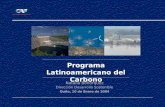 Programa Latinoamericano del Carbono Natalia Bohórquez Dirección Desarrollo Sostenible Quito, 10 de Enero de 2004.