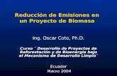 Reducción de Emisiones en un Proyecto de Biomasa Ing. Oscar Coto, Ph.D. Curso ¨ Desarrollo de Proyectos de Reforestación y de Bioenergía bajo el Mecanismo.