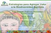 Estrategias para Agregar Valor a la Biodiversidad Agrícola Foro Granos Andinos (Amaranto) Proyecto IFAD NUS Sucre, Bolivia, Noviembre 19-20, 2009 Matthias.