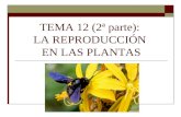 TEMA 12 (2ª parte): LA REPRODUCCIÓN EN LAS PLANTAS.