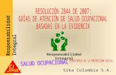 Sika Colombia S.A. Responsabilidad Integral. ANTECEDENTES (Seguimiento a los diagnósticos de enfermedades profesionales años 2001 a 2005) Se Consolidad.