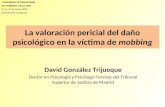 La valoración pericial del daño psicológico en la víctima de mobbing David González Trijueque Doctor en Psicología y Psicólogo Forense del Tribunal Superior.