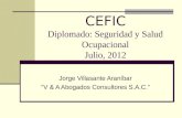 CEFIC Diplomado: Seguridad y Salud Ocupacional Julio, 2012 Jorge Villasante Araníbar V & A Abogados Consultores S.A.C.