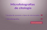 Escalas de aumento y tipos de microscopios Microfotografías Cerrar la presentación.