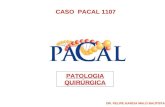 CASO PACAL 1107 PATOLOGIA QUIRÚRGICA DR. FELIPE GARCIA MALO BAUTISTA.