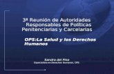1 3ª Reunión de Autoridades Responsables de Políticas Penitenciarias y Carcelarias OPS:La Salud y los Derechos Humanos Sandra del Pino Especialista en.