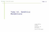 Biología. Curso de acceso TEMA 13 Tema 13. Genética Mendeliana Jorge Muñoz Aranda Profesor de Biología Aula de Milagro.