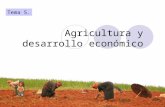 Agricultura y desarrollo económico Tema 5.. Importancia del desarrollo agrícola: (1) Una parte importante de la población de los PMD depende directa o.
