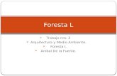 Trabajo nro. 3 Arquitectura y Medio Ambiente. Foresta L Anibal De la Fuente. Foresta L.