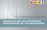 Programa de las Naciones Unidas para el Desarrollo (PNUD) Manejo de Riesgos de Desastre en el Sureste de México.