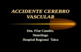 ACCIDENTE CEREBRO VASCULAR Dra. Pilar Canales. Neurólogo Hospital Regional Talca.