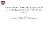 Bases Moleculares de Adyuvancia y Neoadyuvancia en cáncer de mama Ernesto Gil Deza Instituto Oncológico Henry Moore.