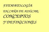 FITOPATOLOGÍA EN CAÑA DE AZÚCAR: CONCEPTOS Y DEFINICIONES.