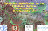 Servicios Ambientales en las Políticas Rurales Territoriales TCP/MEX/2905 (A) Secretaría del Medio Ambiente Dirección General de la Comisión de Recursos.