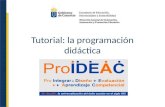 Tutorial: la programación didáctica. Objetivos del tutorial Orientar en el diseño de la programación didáctica a través de los planes de formación en.