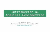 Introducción al Análisis Econométrico Eva Medina Moral Profesora Economía Aplicada, UAM eva.medina@uam.es.