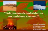 Ecología 2009 Adaptación de individuos a un ambiente extremo Javiera Crisostomo María José Espina Tamara Silva Maximiliano Villae.