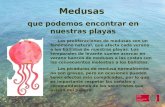 Medusas que podemos encontrar en nuestras playas Las proliferaciones de medusas son un fenómeno natural, que afecta cada verano a los bañistas de nuestras.