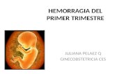 HEMORRAGIA DEL PRIMER TRIMESTRE JULIANA PELAEZ Q GINECOBSTETRICIA CES.