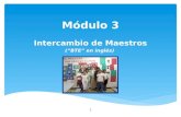 Módulo 3 Intercambio de Maestros (BTE en inglés) 1.