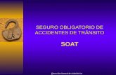 Dirección General de Salud de las Personas SEGURO OBLIGATORIO DE ACCIDENTES DE TRÁNSITO SOAT.