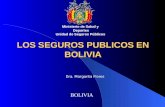 LOS SEGUROS PUBLICOS EN BOLIVIA BOLIVIA Ministerio de Salud y Deportes Unidad de Seguros Públicos Dra. Margarita Flores.