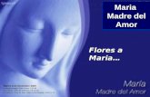 Maria Madre del Amor Flores a Maria… Martes 8 de Diciembre 2009 Evangelio según San Lucas 1,26-38 1ª Lectura Libro de Génesis 3,9-15.20 2ª Lectura Carta.