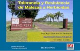 Tolerancia y Resistencia de Malezas a Herbicidas Ing. Agr. Graciela S. Guevara gguevara@chaco.inta.gov.ar Tel. 0364-4438141.